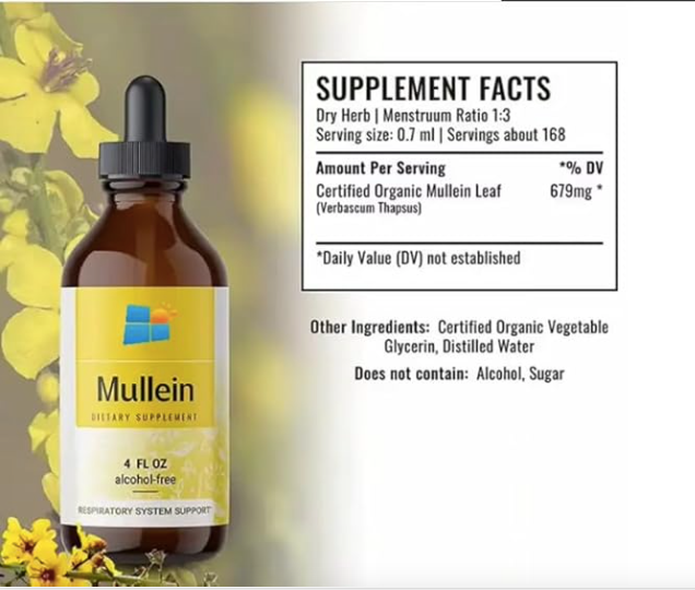 Mullein Drop for Lungs, Immune Support – Mullein Leaf Extract Drop for Lungs Cleanse, Respiratory & Immune Support – No GMO, Alcohol, Sugar & Preservative – 2 Fl Oz