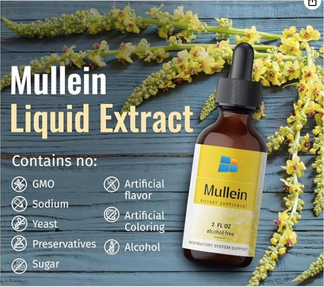 Mullein Drop for Lungs, Immune Support – Mullein Leaf Extract Drop for Lungs Cleanse, Respiratory & Immune Support – No GMO, Alcohol, Sugar & Preservative – 2 Fl Oz
