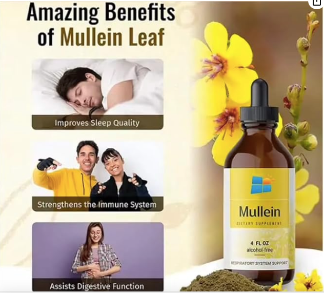 Mullein Drop for Lungs, Immune Support – Mullein Leaf Extract Drop for Lungs Cleanse, Respiratory & Immune Support – No GMO, Alcohol, Sugar & Preservative – 2 Fl Oz