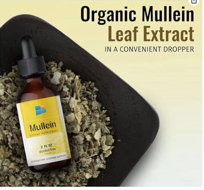 Mullein Drop for Lungs, Immune Support – Mullein Leaf Extract Drop for Lungs Cleanse, Respiratory & Immune Support – No GMO, Alcohol, Sugar & Preservative – 2 Fl Oz