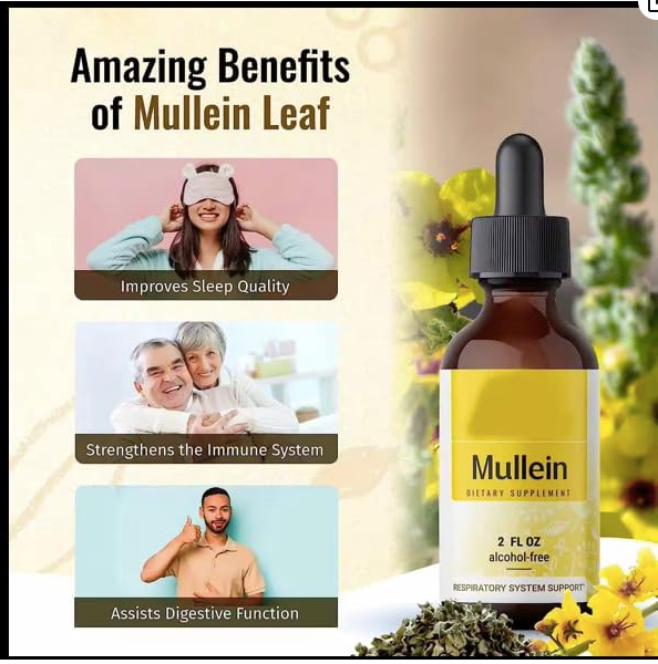 Mullein Drop for Lungs, Immune Support – Mullein Leaf Extract Drop for Lungs Cleanse, Respiratory & Immune Support – No GMO, Alcohol, Sugar & Preservative – 2 Fl Oz