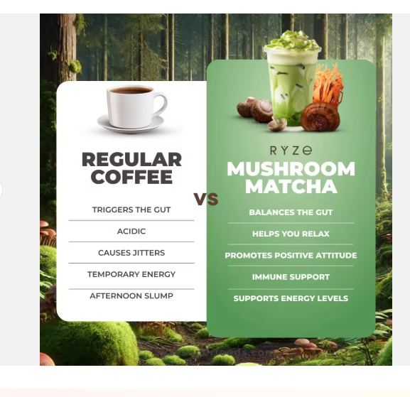RYZE-Style Organic Mushroom Matcha Powder – Ceremonial Grade Green Tea with 6 Adaptogenic Mushrooms for Calm Energy, Focus & Immunity | Premium Matcha Latte Blend With Spoon